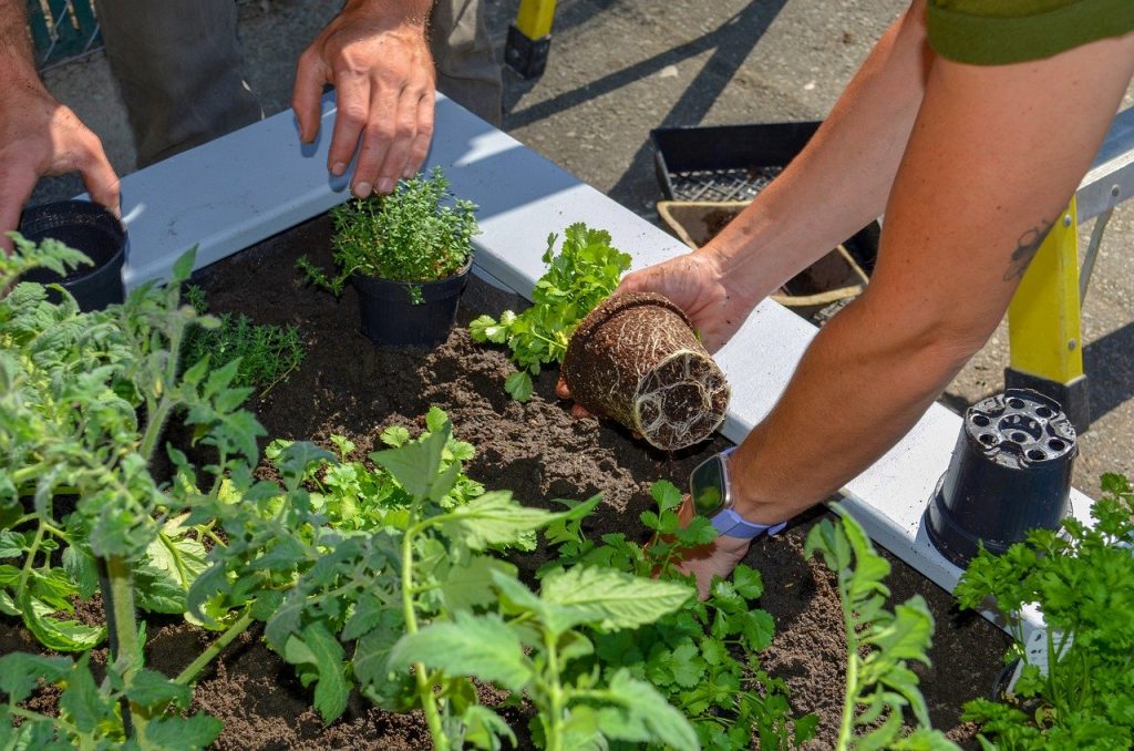 gardening